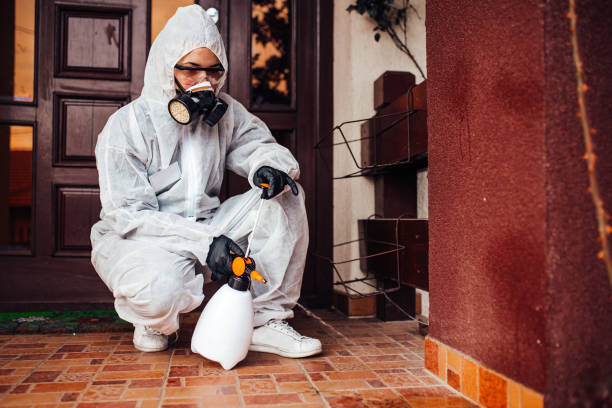 Reliable Cockroach Control contractor in El Cerrito, CA by Nex Pest Control